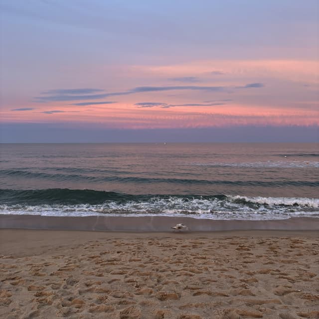 Philosopher at the Beach at Scalp Alchemist in Long Branch, NJ